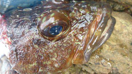 隙間にはさまって