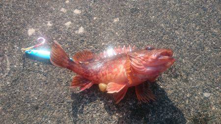 ガッシースレ掛かり