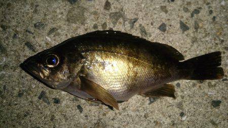 暗くなってから