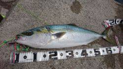 ギリギリセーフ