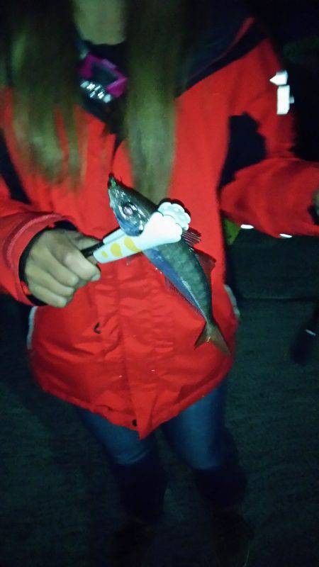 仲間と楽しいアジング