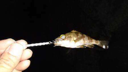 ご近所メバリング