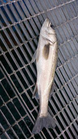 ハネになるんかな？