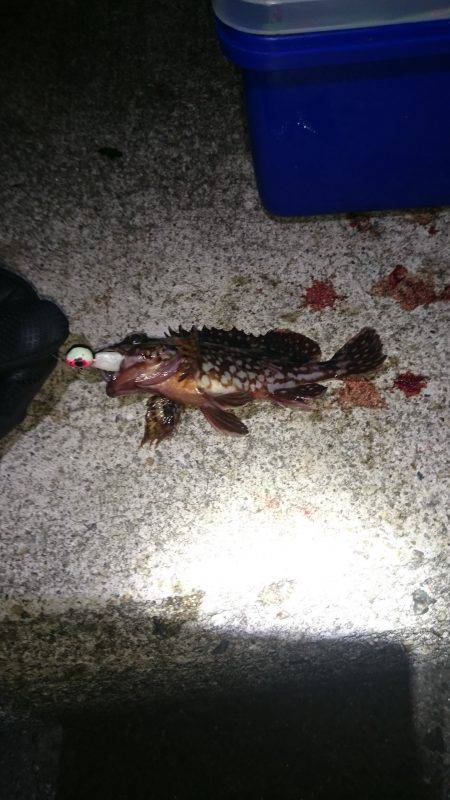 やっぱりガシリング~♪