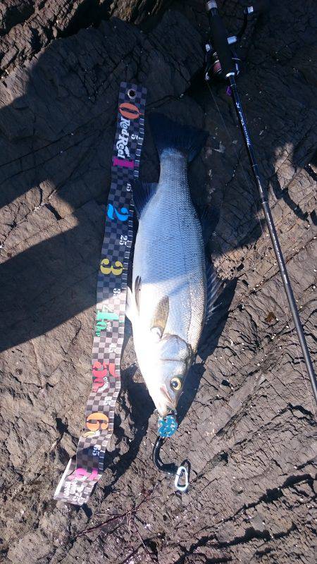 なんとかやっと