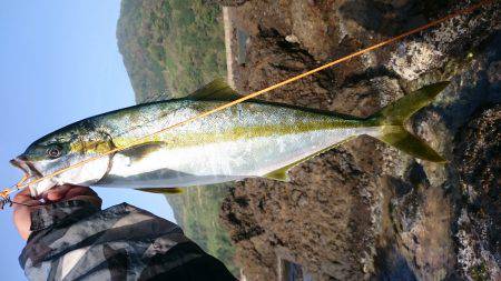 かなり久しぶりの魚