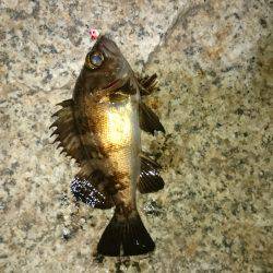 静かな海でした。