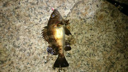 静かな海でした。