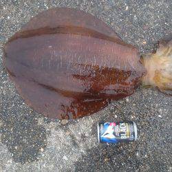 春らしいサイズゲット