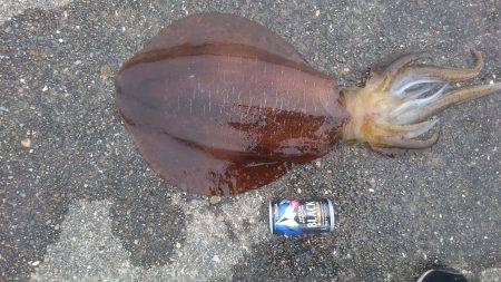 春らしいサイズゲット