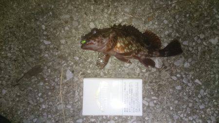 渋い１日でした