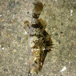 なんだかんだ。