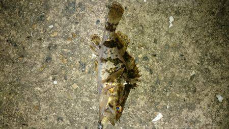 なんだかんだ。