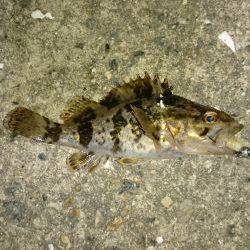 なんだかんだ。