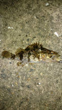 なんだかんだ。