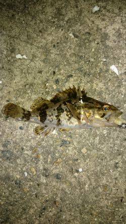 なんだかんだ。