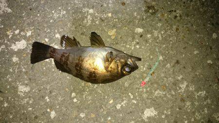 風にも負けず！