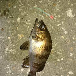 風にも負けず！