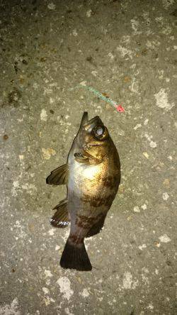 風にも負けず！