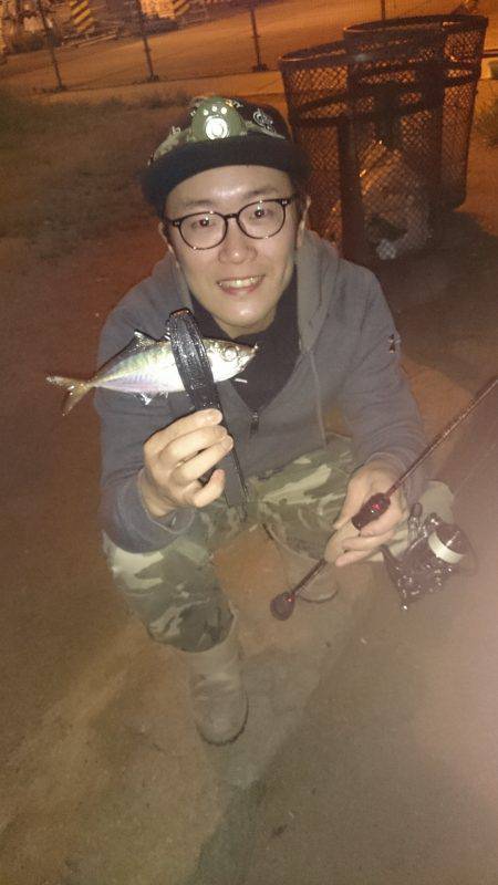 アジング釣行記