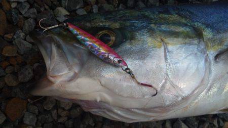 ショアジギング釣行