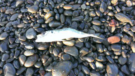 平日に遠征～～！