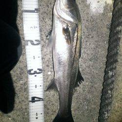 バチ抜けスタート？