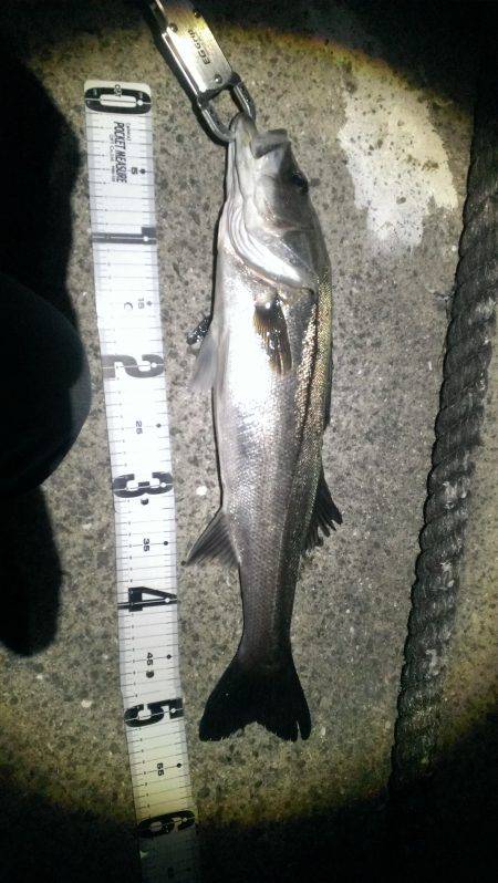 バチ抜けスタート？