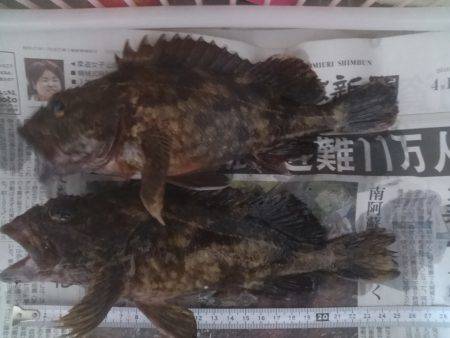 ロックフィッシュのお祭りパート2