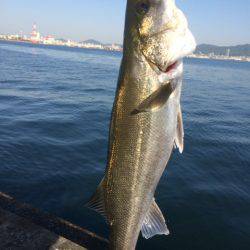 ひっさびさの釣果