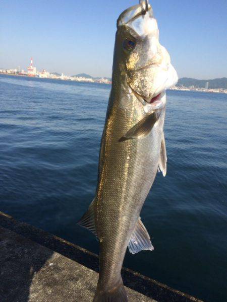 ひっさびさの釣果