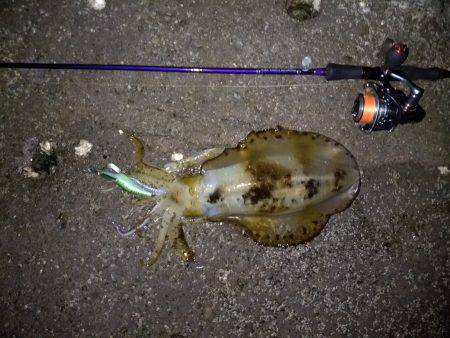 白浜～田辺ランガン