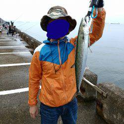 竜田揚げサゴシ