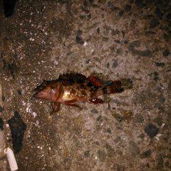 お腹がパンパンでした