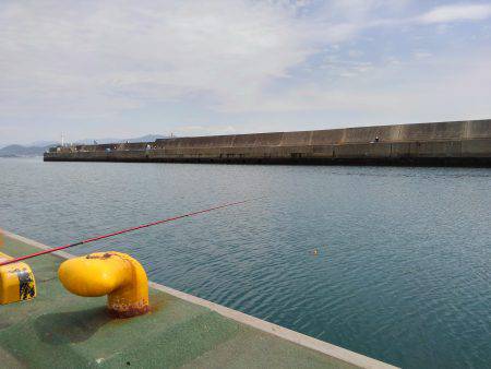 エビ撒き釣行&ノマセ