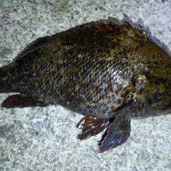 Newポイントにて…