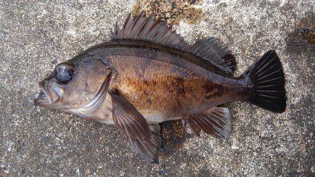 ミップル様周辺にて。