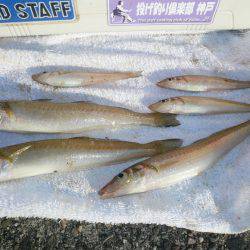 久しぶりの生穂でキス狙い