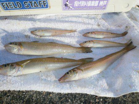 久しぶりの生穂でキス狙い