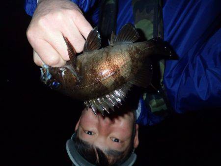 今宵もウハウハ♪