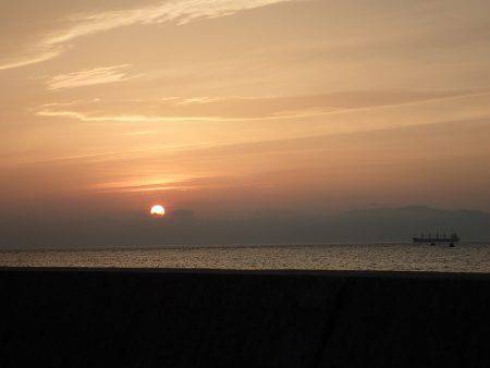 今期最初の春タチが・・・