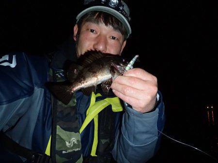 季節外れの極寒メバリング