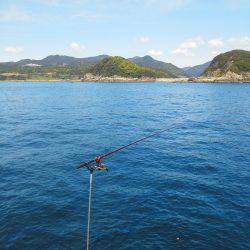 グレ2匹・・・・釣りは難しい・・・