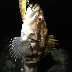 やっと春が来た