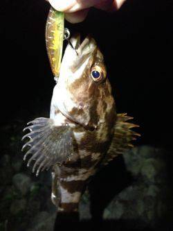 やっと春が来た