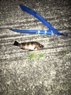 北風が冷たいよ