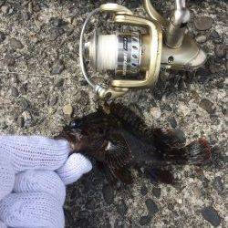 春うららデイゲーム！！