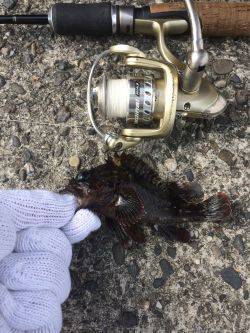 春うららデイゲーム！！