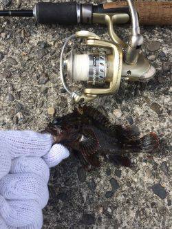 春うららデイゲーム！！