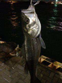 出だし好調やったのに……。